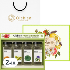 올레비엔 건강한 우리차 세트, 2세트, 3호