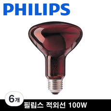 필립스 의료용 적외선 IR 전구 램프 R95 100W, R95 IR RED, 6개