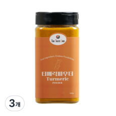더테이스트랩 강황가루 터메릭 파우더 커큐민, 3개, 260g