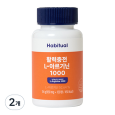 와이즐리 활력충전 아르기닌 L-1000(60일분), 2개, 120정