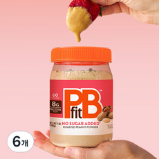 피비핏 무설탕 땅콩버터 파우더 글루텐프리 고단백 땅콩버터가루 피넛버터, 198g, 6개