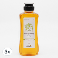 설악산허니팜 자연벌꿀 피나무꿀, 500g, 3개