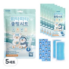 피타피타 쿨링시트 아이스 열냉각 쿨링패치 쿨패치 해열시트, 5세트, 10매입