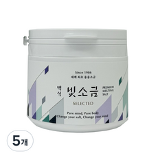 백석빛소금 용기 / 1000도 용융 미네랄 고순도소금 건강 회복 & 체내 밸런스, 5개, 500g