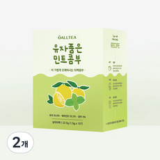 올티 유자품은 민트콤부차 삼각티백 프리미엄 블렌드티 저온건조 원적외선 로스팅, 1.5g, 15개입, 2개