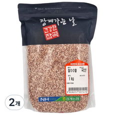 [농협] [25년산] 장수 장계농협 국산 찰수수, 2개