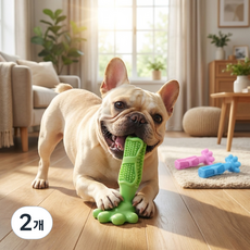 펫펫냥 강아지 애견 셀프 칫솔 장난감 노즈워크 터그놀이 치석제거 구강관리, 2개, 그린