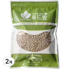 푸드팜 해바라기씨, 500g, 2개