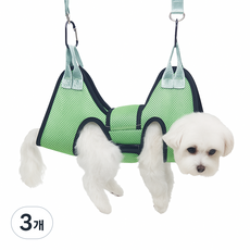 바람펫 강아지 고양이 해먹 미용 거치대 M, 그린, 3개