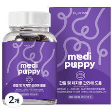 메디퍼피 리포좀 다이어트 영양제 강아지 노령견 노견 체중관리 체지방 감소 도움, 2개, 관절, 90g
