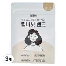 국내제조 입벌림방지테이프 위드데일리 립나잇밴드, 1SET(단품), 3개