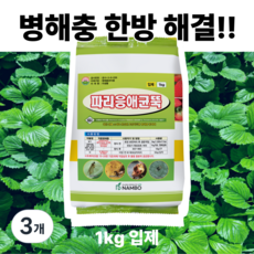 비료컴퍼니 파리응애균뚝, 1kg, 3개