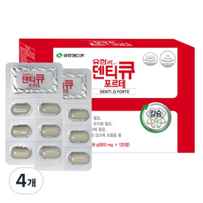 유한메디카 덴티큐 포르테 2개월분 칼슘, 120정, 4개