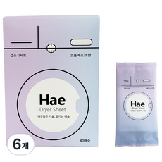 해 Hae 건조기시트 올인원 향기 드라이시트 종이섬유유연제 코튼머스크향, 6개, 40개입
