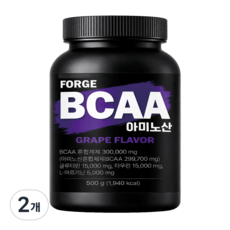 포지 BCAA 아미노산 아르기닌 글루타민 헬스부스터 포도맛, 2개, 500g