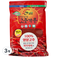 남영양농협 햇살촌 영양청결 고춧가루 매운맛, 1kg, 3개