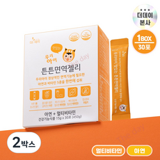 [더데이] 성장기 어린이영양제 젤리 스틱 키즈아연 튼튼면역젤리 망고맛, TD0015, 2박스