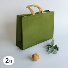 튼튼한 부직포 쇼핑백 10p세트, 카키, 2개