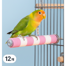 레브홈 앵무새 발톱갈이 막대 횟대, 12개, 핑크