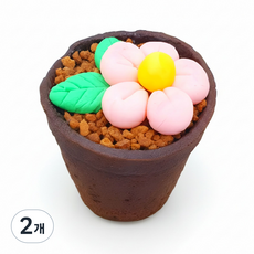 어린이날 화분도 먹는 봄꽃 플라워 슈가클레이 컵케이크 만들기 놀이 1인 DIY 세트, 2개, 180g