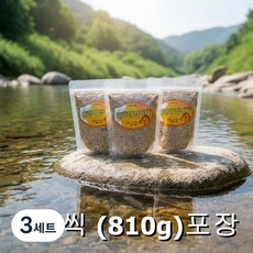 피래미 집어제 3P 3개 떡밥 어분 글루텐 붕어 미꾸라지 민물 중층낚시, 3세트, 810g
