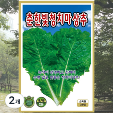 상추 씨앗 종묘 춘한빛청치마 (3천립) 종자 봄상추 상치, 2개