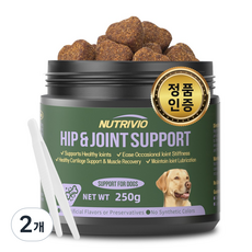 NUTRIVIO 강아지 종합 영양제 간식 초록입홍합 콘드로이친 노견 소형견 슬개골 강아지 관절 영양제, 300g, 뼈/관절강화, 2개