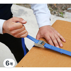 튼튼한 초강력 깔깔이바 캠버클 화물차 고정바 스트랩 (고급형), 6개, 3M 파랑