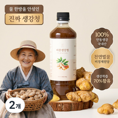 물 한방울 안들어간 국내산 100% 안동 생강 천연벌꿀함유 바른 생강청 원액 생강차, 2개, 1개입, 620g