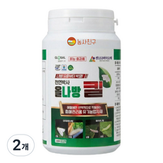 올나방킬 BT균효과 배추 좀나방 고추 담배나방 농사친구, 2개, 250g