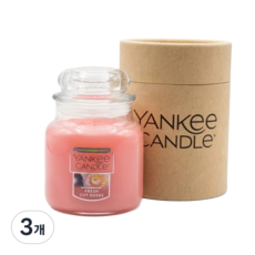양키캔들 자캔들(스몰 선물용팩), 3개, 104g, 프레쉬컷로즈