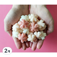굿푸드365 국산쌀 꽃 모양 봄봄 벚꽃떡국떡, 400g, 2개