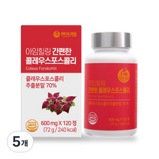아임힐링 간편한 콜레우스포스콜리 추출분말, 120정, 5개