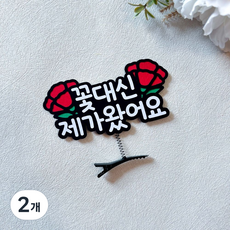 카네이션 토퍼머리핀 가정의달 어버이날 스승의날 선물, 2개
