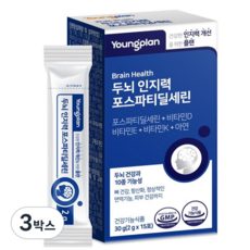 영진약품 두뇌 인지력 포스파티딜세린 분말 식약청인증, 30g, 3박스