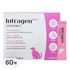 인트라젠 플러스 반려동물 영양제, 60g, 장건강/유산균, 2개