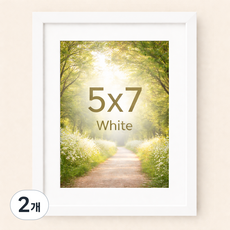 하스몰 전시용 고급 우드 인테리어 매트지 액자 프레임, 2개, 화이트