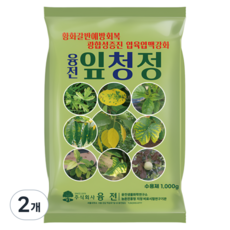 농업마켓365 융전 잎청정 수용제 갈반 황화 회복 광합성촉진 마그네슘 비료 식물영양제, 2개, 1kg