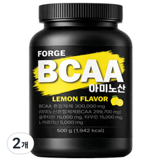 포지 BCAA 아미노 아르기닌 바이탈 글루타민 보충제 필수아미노산 레몬맛, 2개, 500g