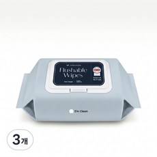 아임클린 비데물티슈 캡형 무향, 60g, 100매, 3개