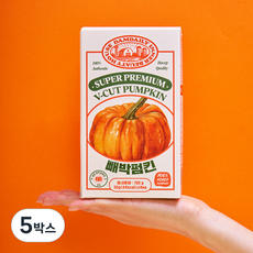 빼박펌킨 늙은 호박차 액상스틱 붓기 저당음료 호박즙 50g 14개입, 5박스, 700g
