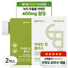비타민마을 카테킨 정 플러스, 28정, 2박스