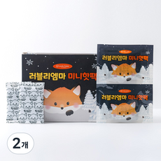 러블리엠마 어린이핫팩 미니핫팩 엠마여우 아동용핫팩 40회분, 2개