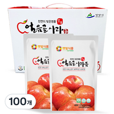 햇빛식품 사과즙 NFC착즙 밀양얼음골사과즙 사과주스 사과즙추천, 110ml, 100개