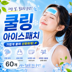 루루앤제니 쿨링 아이스패치 쿨패치 하이드로겔 냉감패치 가족용 노인용, 60개