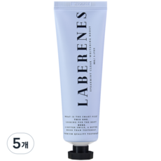 래버린즈 프리미엄 미백 치약 국내제조 누렁니 입냄새 스피어민트, 90g, 5개