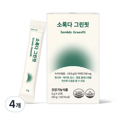 소록다 그린핏, 4개, 84g