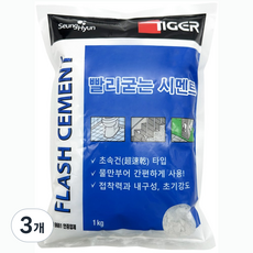 빨리굳는 시멘트 초속경 가정용 몰탈시멘트 틈새, 3개