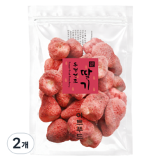 아트푸드 동결건조 딸기 딸기칩, 2개, 100g