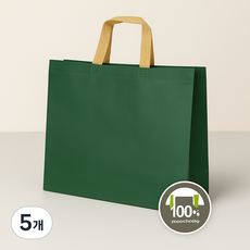 튼튼한 부직포 쇼핑백 10p세트, 그린, 5개